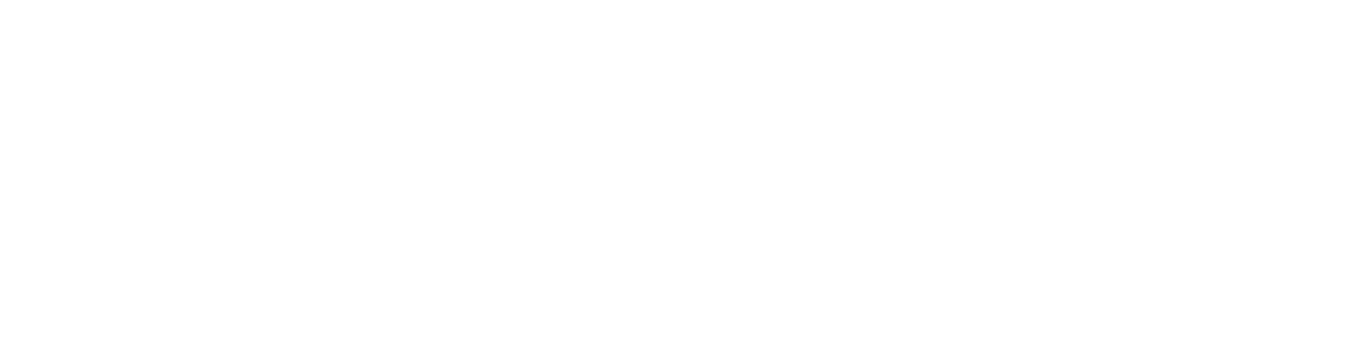Vonage Logo